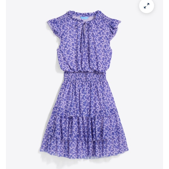 Draper James Alana Tiered Mini Dress in Stretch Mesh sz Small NWT - Picture 4 of 6